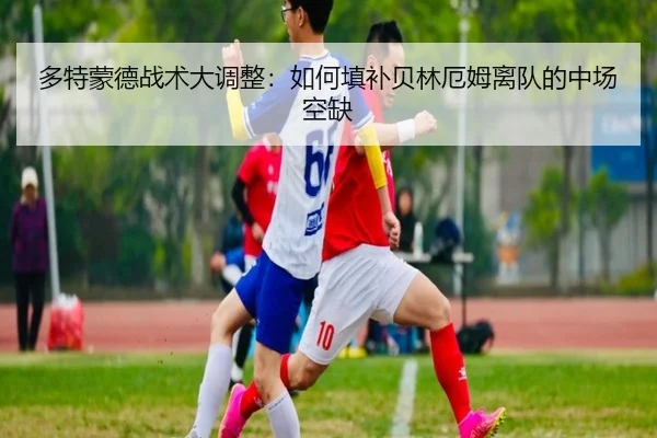 多特蒙德战术大调整：如何填补贝林厄姆离队的中场空缺